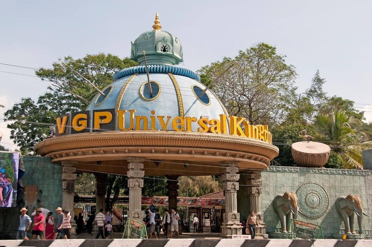 VGP Universal Kingdom